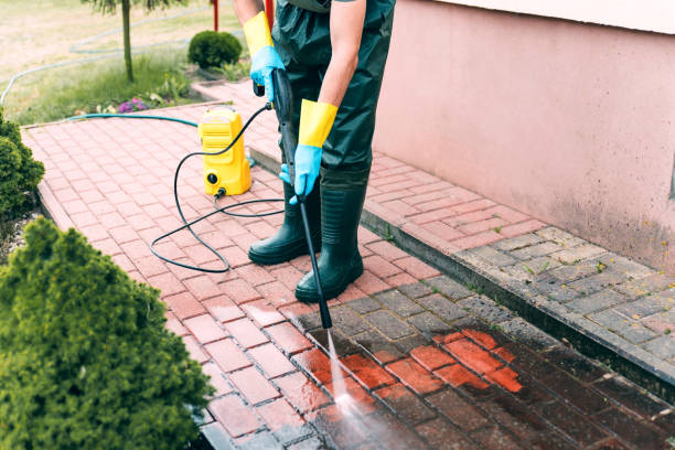 Best Building Exterior Pressure Washing in Edcouch, TX